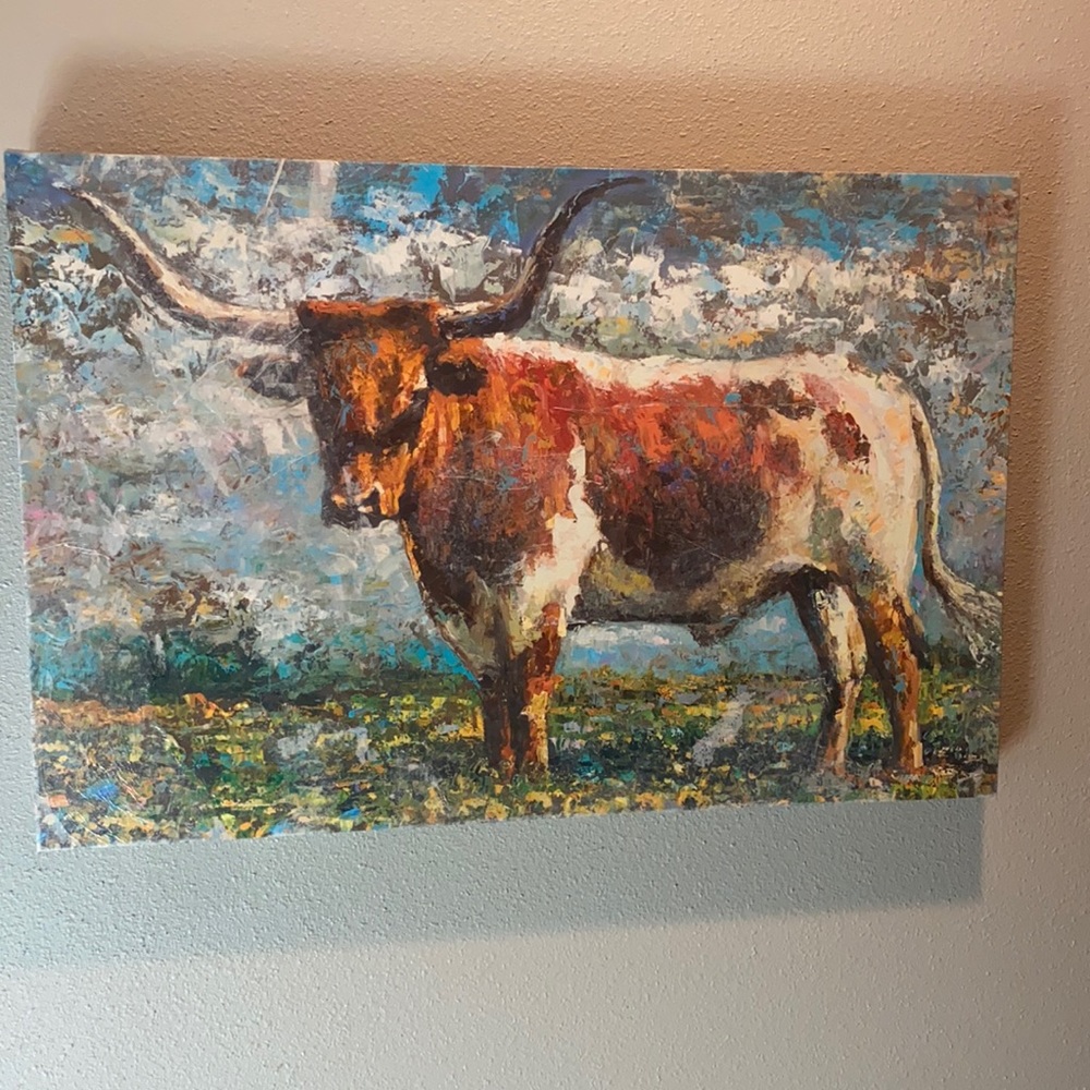 Longhorn Canvas Picture